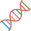 genetica